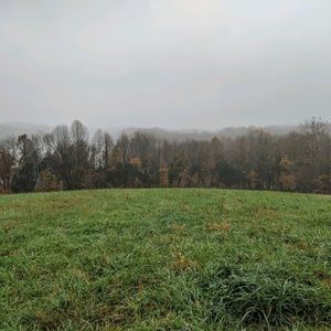 Meet your Posher, Cody